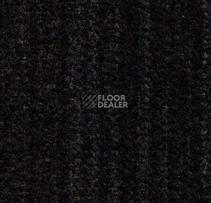Грязезащитные покрытия Forbo Coral Brush 5750 aztec black фото 1 | FLOORDEALER
